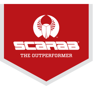 Scarab